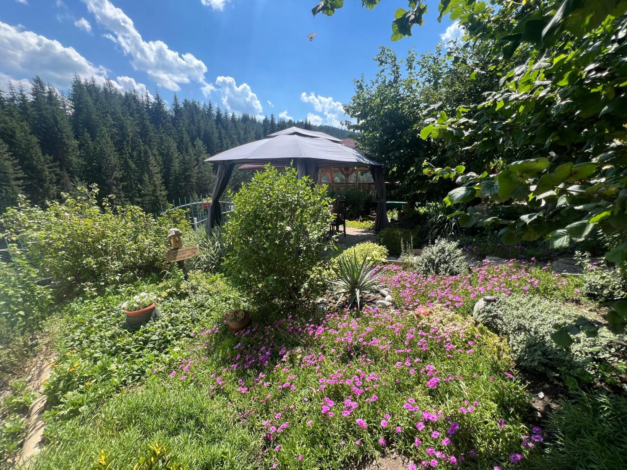 Guest House Milka Yagodina Exterior photo